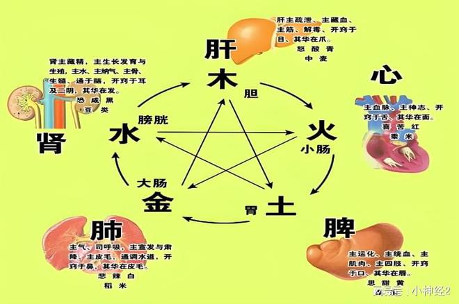 ҽɭΪθøСЧ(ͼ2)